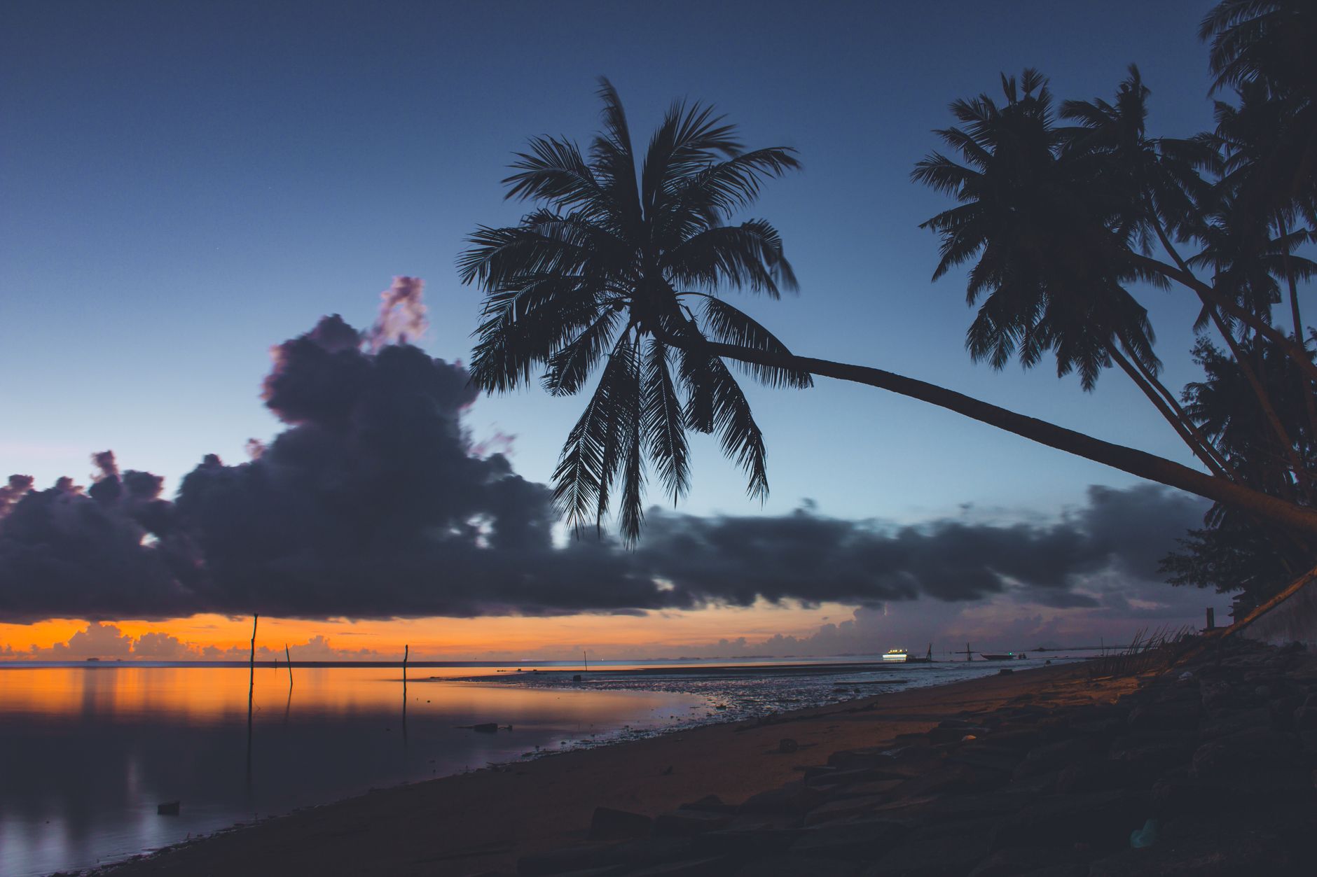Dramatic sunset at a tropical beach with palm trees silhouetted against a vibrant sky.